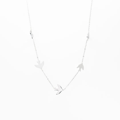 Collar Multidije De Aves