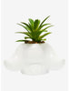 Sanrio Cinnamoroll Planta Suculenta
