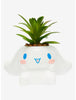 Sanrio Cinnamoroll Planta Suculenta