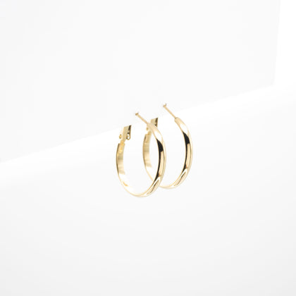 Aretes De Argolla