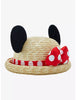 Minnie Mouse Gorrito 3D