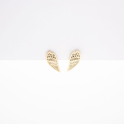 Aretes De Alas