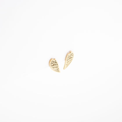 Aretes De Alas