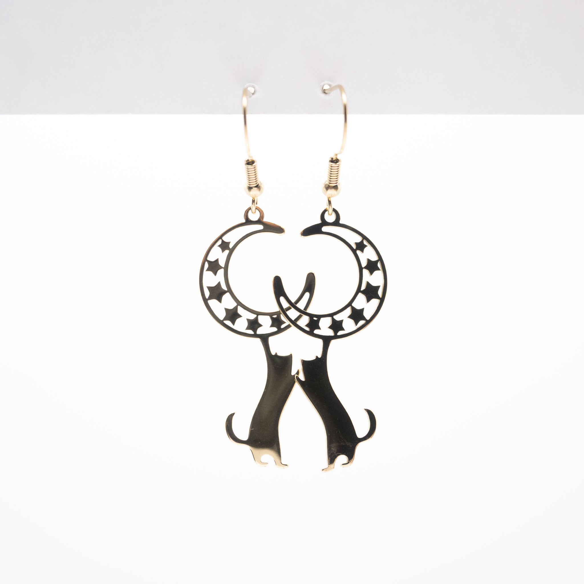 Aretes De Gato Y Luna
