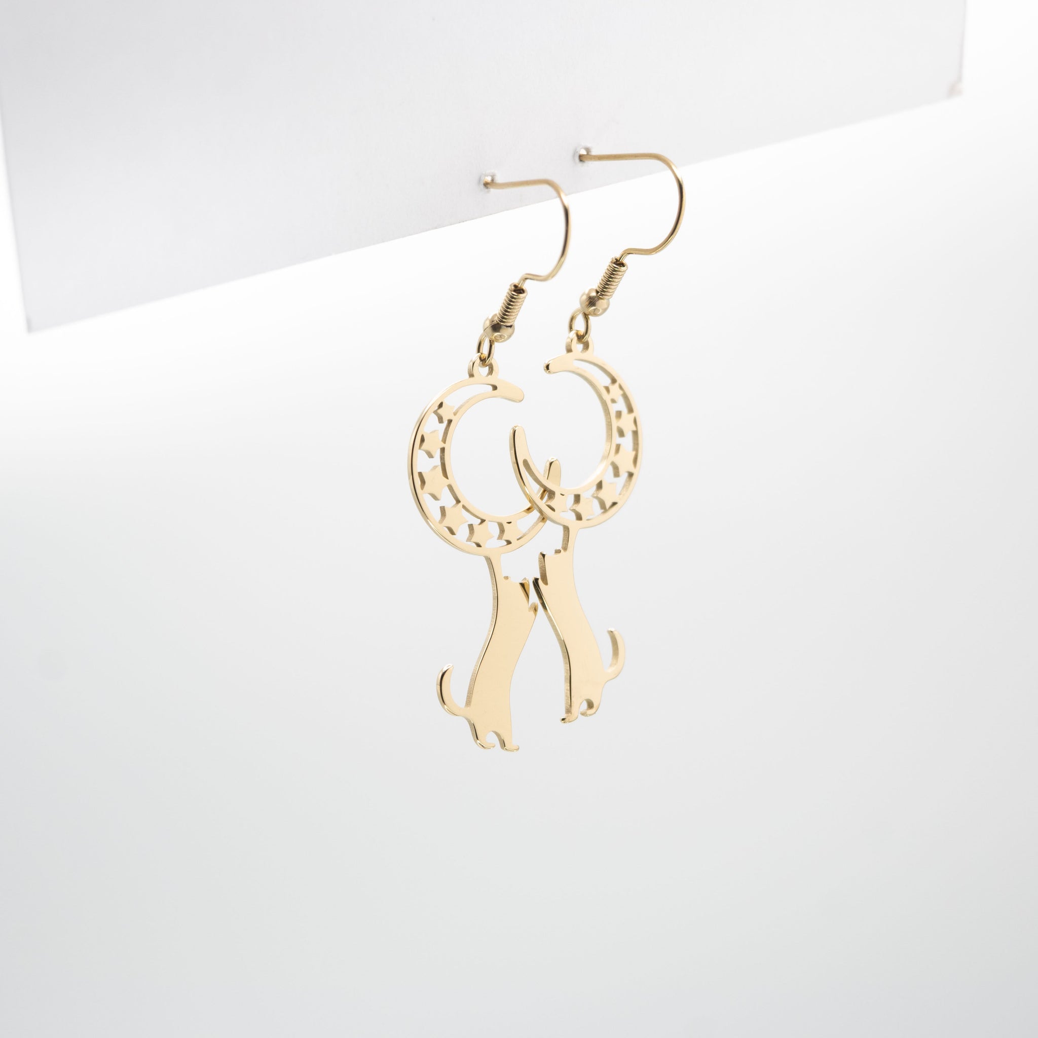 Aretes De Gato Y Luna