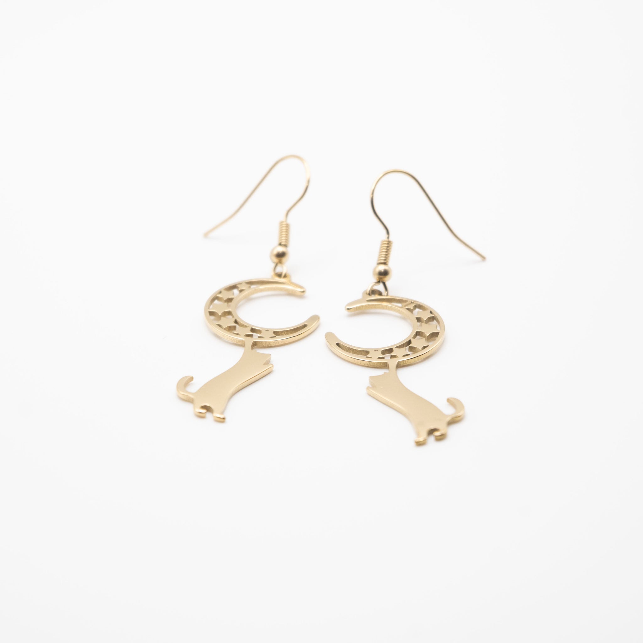 Aretes De Gato Y Luna