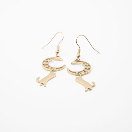 Aretes De Gato Y Luna