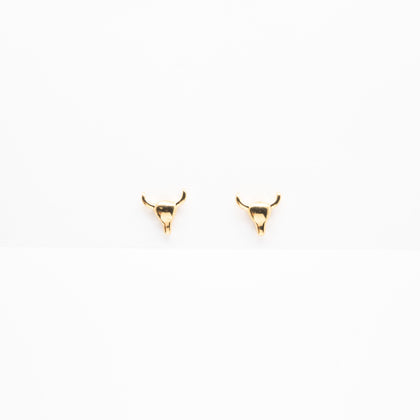 Aretes De Toro