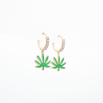 Aretes De Planta Colgante