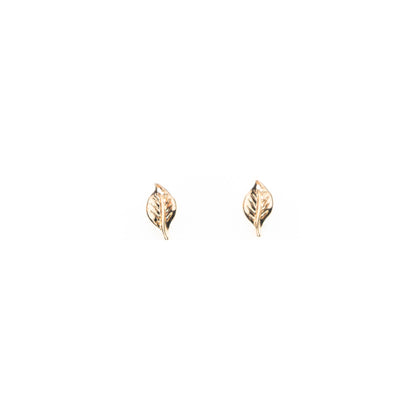 Aretes De Hoja