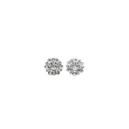 Aretes Strass Plateado
