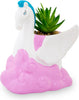 Hercules Pegasus Suculenta Planta Decorativa