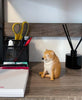 Cheems Figura Decorativa Cheems Doge Figura, 3.5 pulgadas