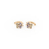 Aretes De Mariposa Strass