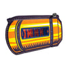Monsters Inc Randall Mochila
