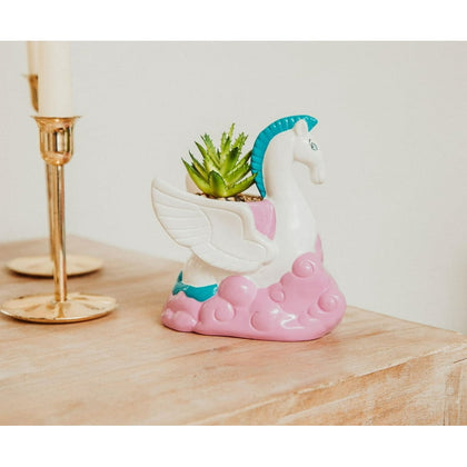 Hercules Pegasus Suculenta Planta Decorativa