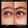 Freck Beauty LASHROCKET MASCARA con péptidos potenciadores de pestañas