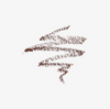 Anastasia Beverly Hills Brow Definer Lápiz de Cejas 3 en 1