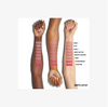 KYLIE COSMETICS Matte Lip Kit