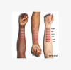 KYLIE COSMETICS Matte Lip Kit