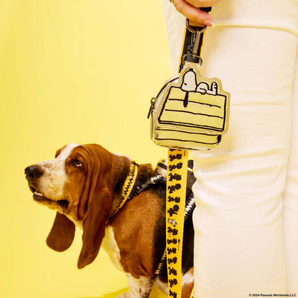 Snoopy Correa Mascota 75th Aniversario Peanuts