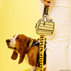 Snoopy Correa Mascota 75th Aniversario Peanuts