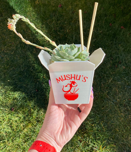 Mulan Maceta Comida China Para Llevar Mushu Suculenta