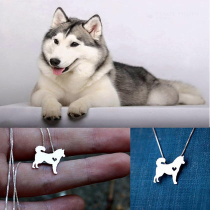 Collar De Perro (HUSKY)