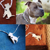 Collar De Perro (PIT BULL)