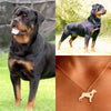 Collar De Perro (rottweiler)