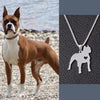 Collar De Perro (BOXER)