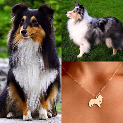Collar De Perro (Collie)