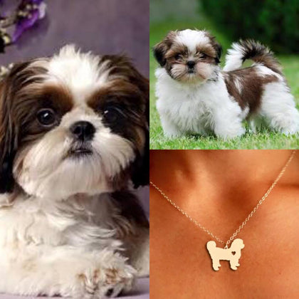 Collar De Perro (Shih-Tzu)