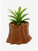Pokemon Planta Suculenta