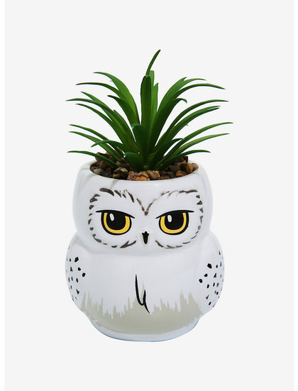 Harry Potter Hedwig Planta Suculenta