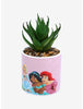 Princesas Disney Planta Suculenta