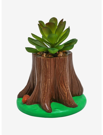 Chip N Dale Planta Suculenta