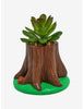 Chip N Dale Planta Suculenta