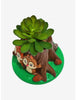 Chip N Dale Planta Suculenta