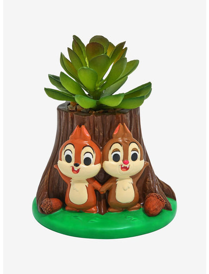 Chip N Dale Planta Suculenta
