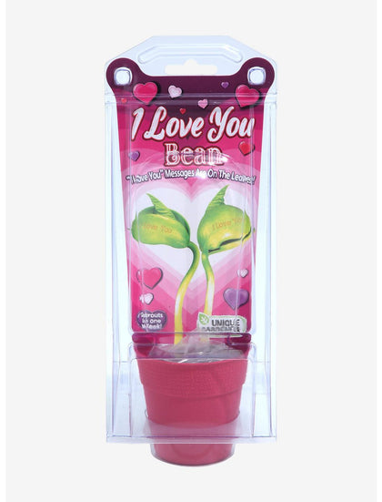 Planta Del Amor Semillas Te Amo I Love You
