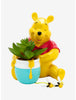 Winnie Pooh Planta Suculenta Decoracion Oficina