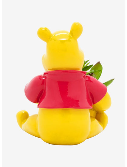 Winnie Pooh Planta Suculenta Decoracion Oficina