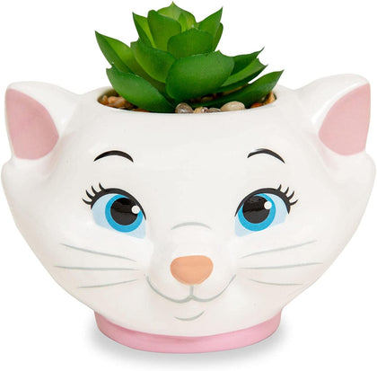 Los Aristogatos Marie Planta Suculenta