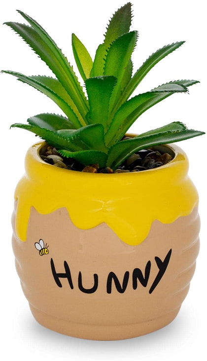 Winnie Pooh Planta Suculenta Tarro Miel