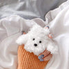 Airpod Case Perrito French Poddle