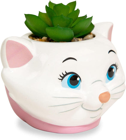 Los Aristogatos Marie Planta Suculenta