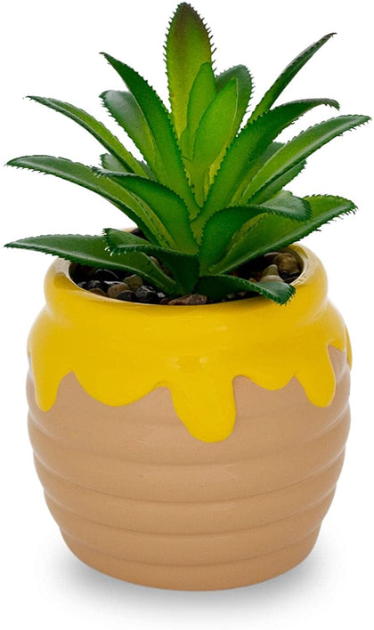 Winnie Pooh Planta Suculenta Tarro Miel