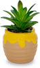 Winnie Pooh Planta Suculenta Tarro Miel