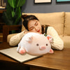 Peluche Cerdito Puerco Grande Fluffy